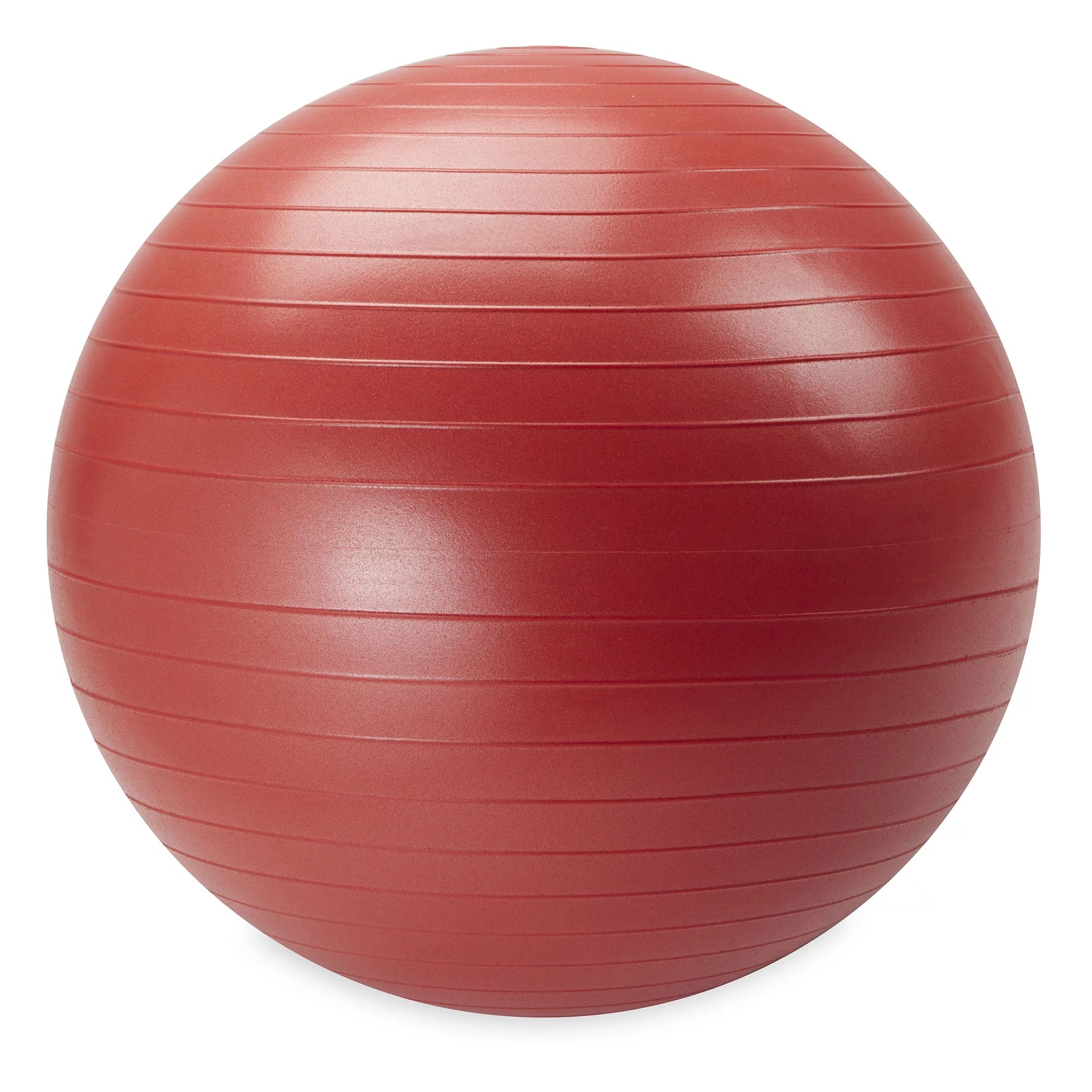 65Cm Medium Weighted Stability Ball, Pump Included